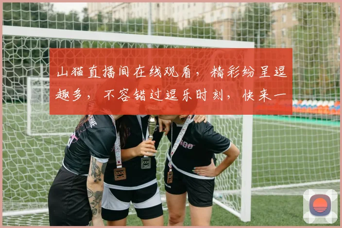 山猫直播间在线观看，精彩纷呈逗趣多，不容错过逗乐时刻，快来一起笑翻天