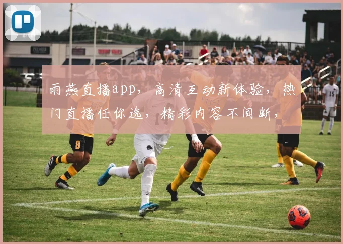 雨燕直播app，高清互动新体验，热门直播任你选，精彩内容不间断，快来加入我们
