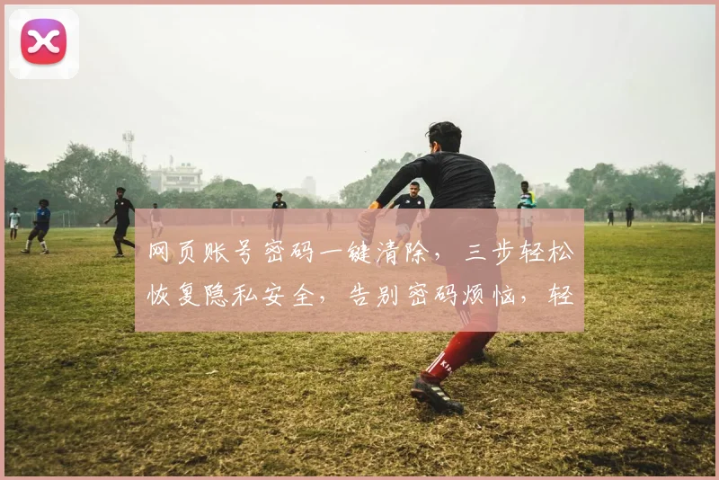 网页账号密码一键清除，三步轻松恢复隐私安全，告别密码烦恼，轻松管理