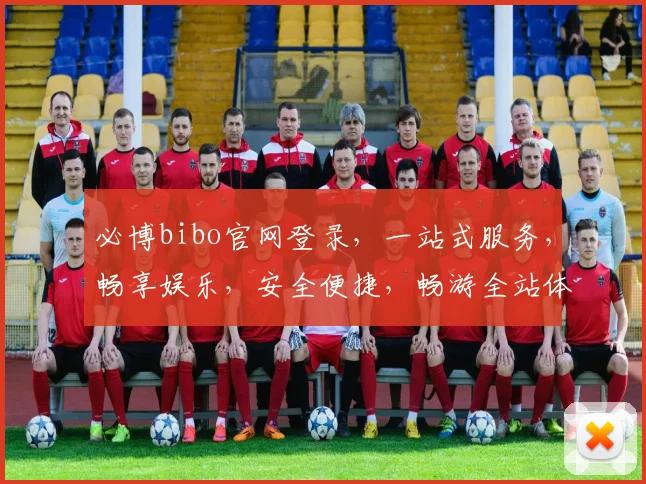 必博bibo官网登录，一站式服务，畅享娱乐，安全便捷，畅游全站体验