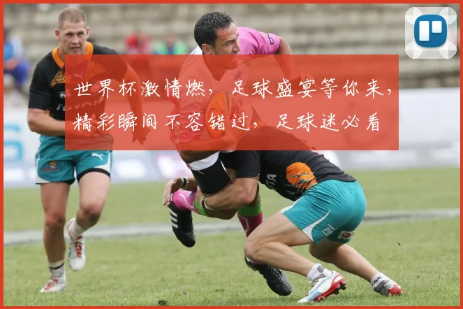 世界杯激情燃，足球盛宴等你来，精彩瞬间不容错过，足球迷必看