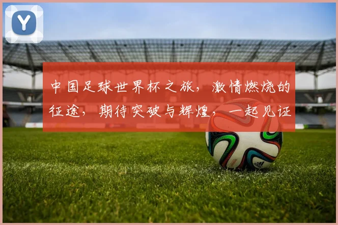中国足球世界杯之旅，激情燃烧的征途，期待突破与辉煌，一起见证