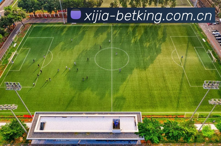 赛事专题整合
